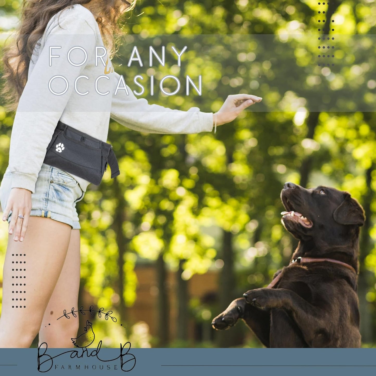 Dog Treat Pouches for Pet Training - Custom Design - Dog Treat Bag for Dog Training & Behavior Aids - Fanny Pack for Dog Walking Bag - Puppy Treat Pouch & Black Belt Bag