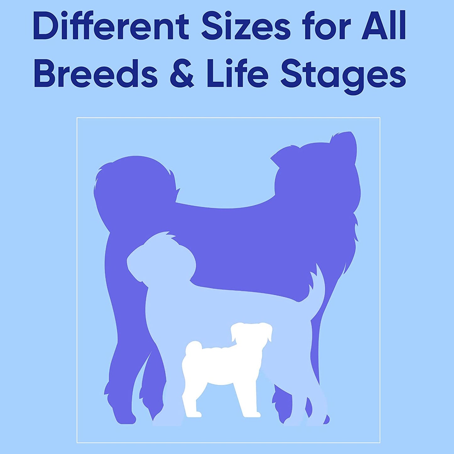 Solid Puppy Collar Pet Collar Training Dog Collar Small Blue