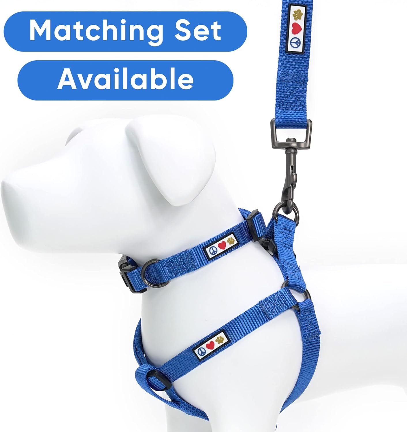 Solid Puppy Collar Pet Collar Training Dog Collar Small Blue