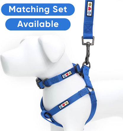 Solid Puppy Collar Pet Collar Training Dog Collar Small Blue