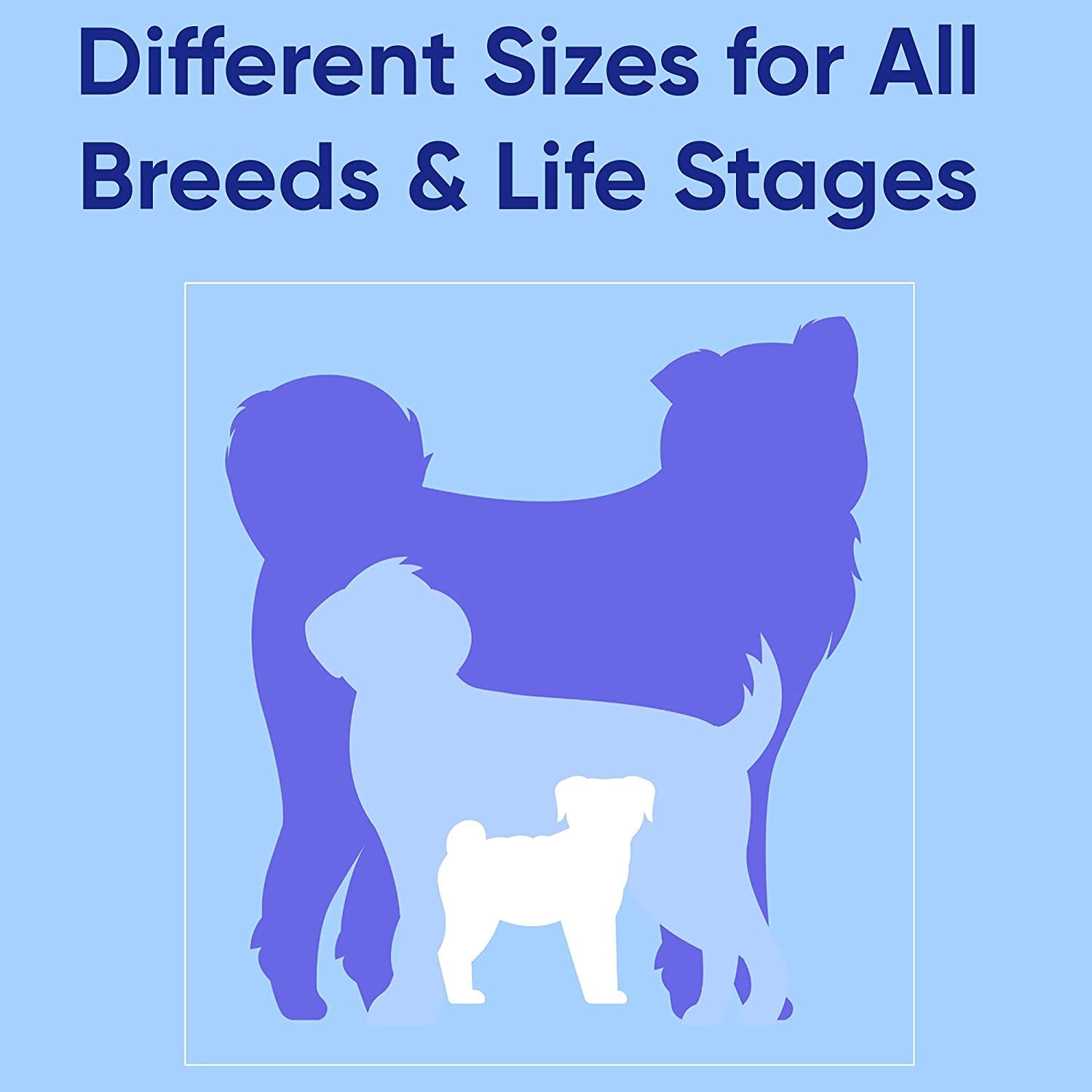 Solid Puppy Collar Pet Collar Training Dog Collar Small Blue