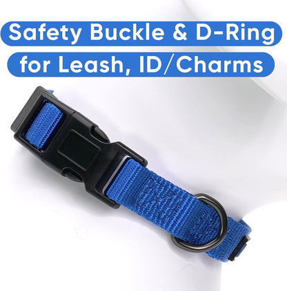 Solid Puppy Collar Pet Collar Training Dog Collar Small Blue